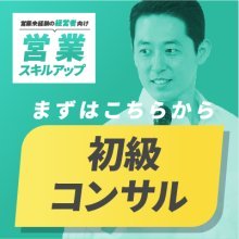 初級コンサルティング