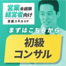 初級コンサルティング
