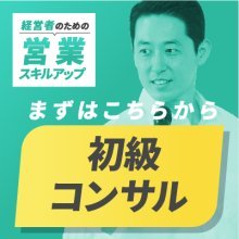 初級コンサルティング